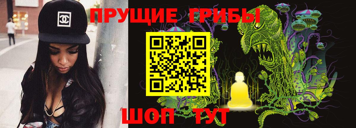Галлюциногенные грибы прущие грибы  Галлюциногенные грибы прущие грибы  Коряжма  Вход с VPN 