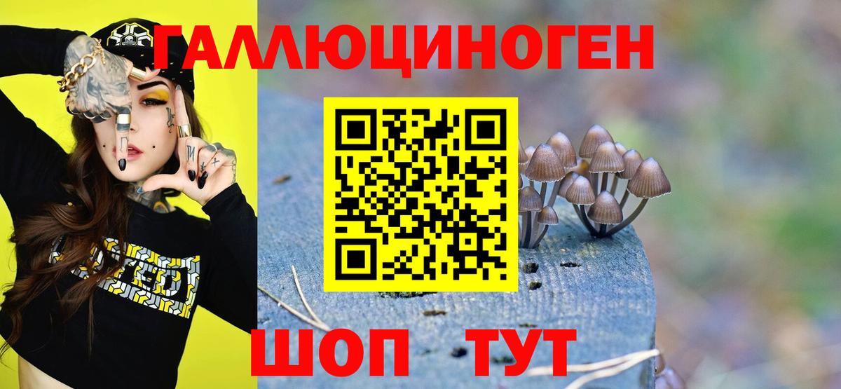 Галлюциногенные грибы Magic Shrooms Коряжма